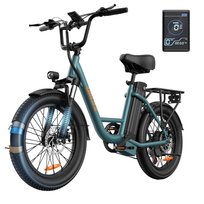 Rower Elektryczny URLIFE E20 - Silnik 250W Bateria 48V 13Ah 20 Calowe koła  Hamulce Tarczowe - Zielony URLIFE