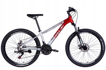 Rower Formula SPACE PHAETON DD wolnobieg rama 13 cali srebrny - Formula