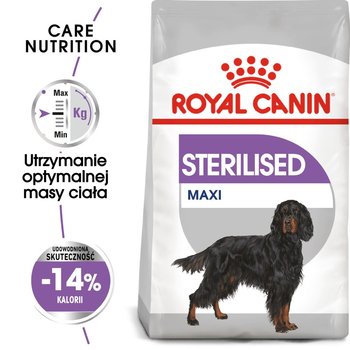 ROYAL CANIN CCN Maxi Sterilised 3kg karma sucha dla psów dorosłych, ras dużych, sterylizowanych - Royal Canin