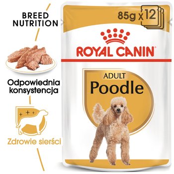 ROYAL CANIN Poodle 12x85g karma mokra - pasztet, dla psów dorosłych rasy pudel - Royal Canin