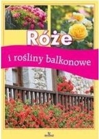 Róże i rośliny balkonowe Wilder Jadwiga