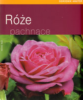 Róże pachnące Rau Heide