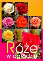 Róże w ogrodzie Mondel Marta