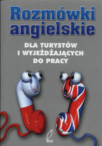 Rozmówki Angielskie Dla Turystów I Wyjeżdzających Do Pracy Opracowanie Zbiorowe Książka W Empik 7726