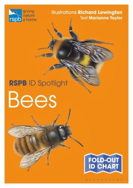 RSPB ID Spotlight - Bees - Taylor Marianne | Książka w Empik
