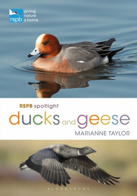 RSPB Spotlight Ducks and Geese - Marianne Taylor | Książka w Empik