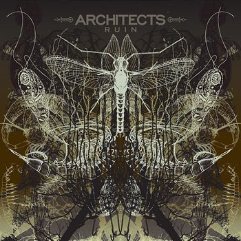 Ruin - Architects