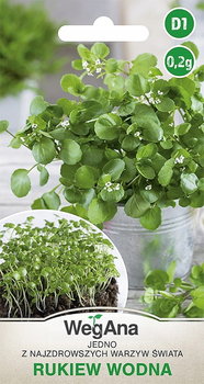 Rukiew wodna 0,2g nasiona - WegAna - WegAna