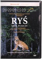 Ryś. Król puszczy