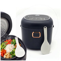 RYŻOWAR turystyczny MULTICOOKER samochodowy 2l 200W 12V 24V KEMPING TIR BUS Inny marka