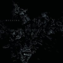 S/T, płyta winylowa Hissing