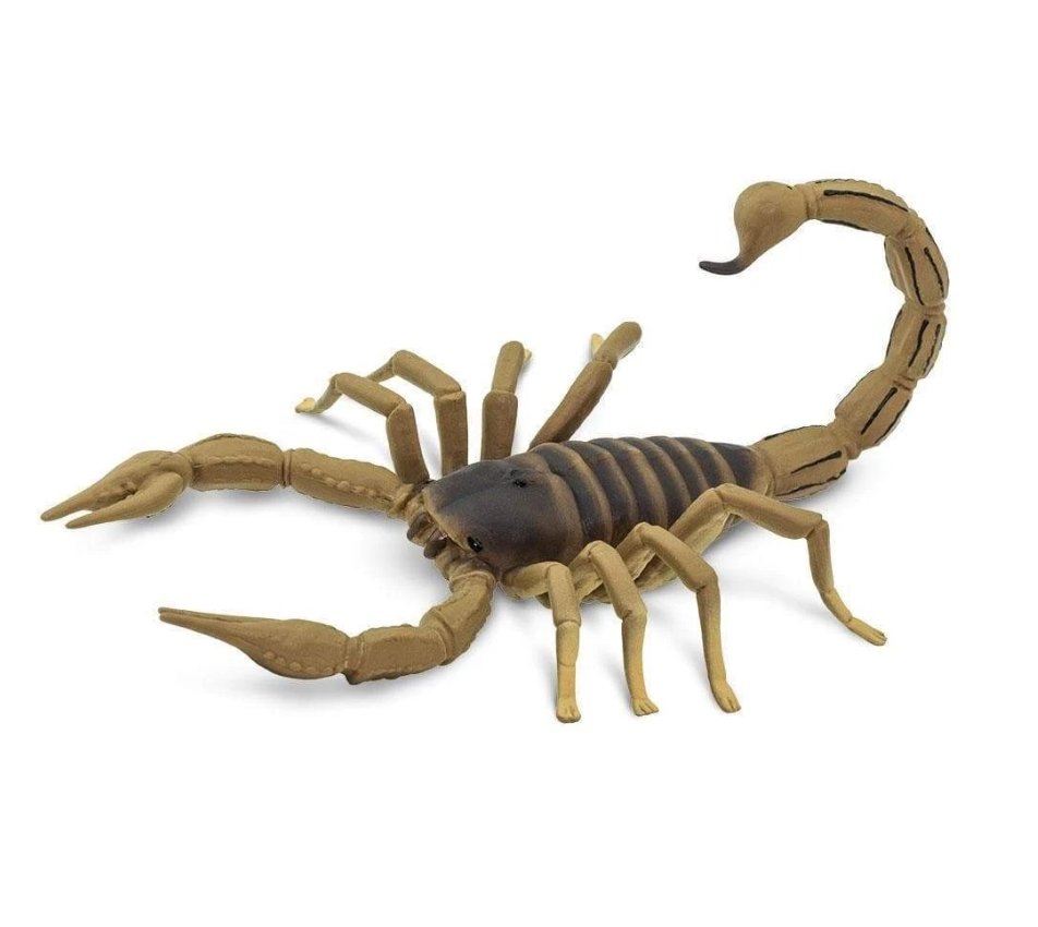 Safari Ltd 100260 Skorpion