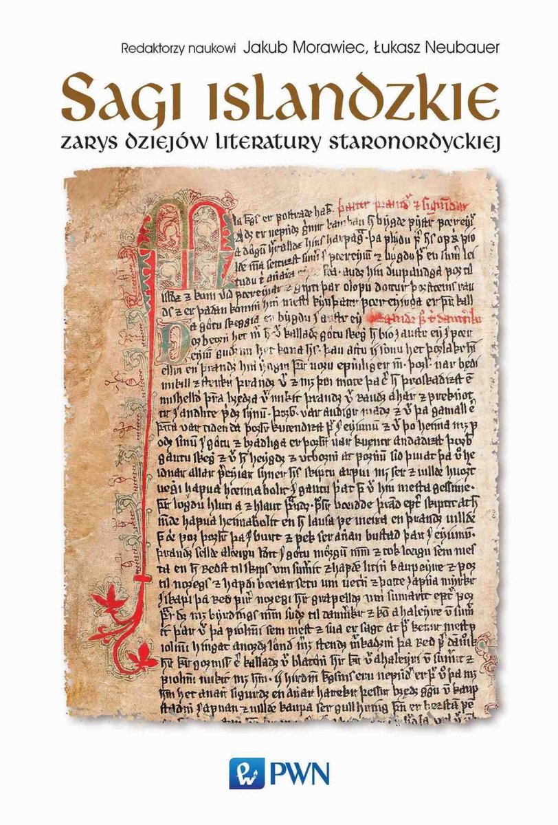 Sagi islandzkie. Zarys dziejów literatury staronordyckiej - ebook epub