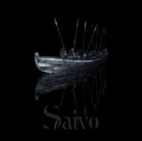 Saivo Tenhi