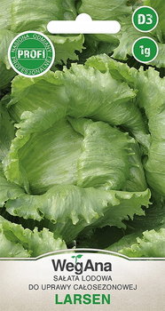Sałata Larsen 1g nasiona - WegAna - WegAna