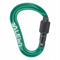 SALEWA KARABINEK ORTLES HMS S 00-0000072001_5210 Salewa
