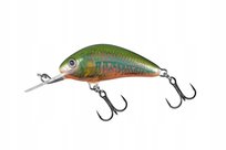 Salmo Hornet 5cm 7g Holo Oikawa Floating wobler Salmo