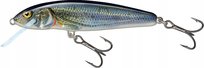 Salmo Minnow Floating 5cm 3g Spirlin Salmo