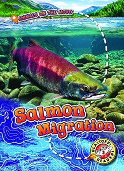 Salmon Migration - Kari Schuetz
