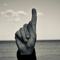 Sam jak palec Rogal Salut!