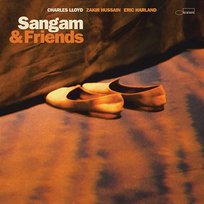 Sam on the Ganges Charles Lloyd