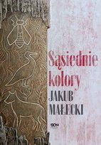 Sąsiednie kolory - ebook epub