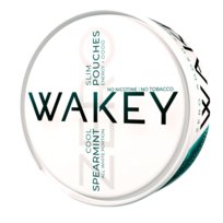 Saszetki Smakowe Wspierające Rzucanie Palenia Mięta 20 szt