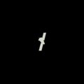 Satellite (edycja limitowana) - Bass Astral X Igo