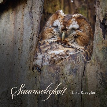 Saumseligkeit - Lisa Kriegler