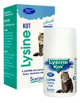 ScanVet Lysine kot żel - preparat z L-lizyną dla kotów i kociąt żel 50ml