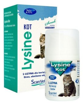 ScanVet Lysine kot żel - preparat z L-lizyną dla kotów i kociąt żel 50ml - SCANVET