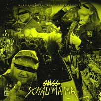 Schau ma ma Swiss, Swiss & Die Andern