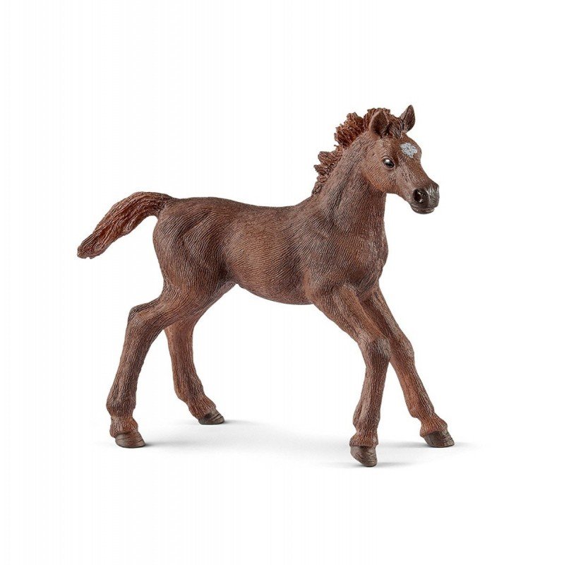 Schleich, Figurka kolekcjonerska, Źrebak pełenej krwi angielskiej