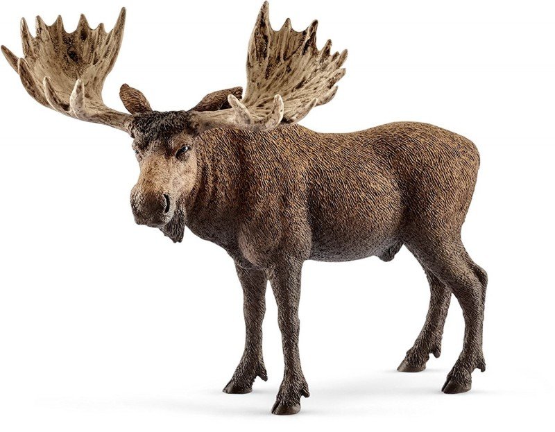 Schleich, figurka, Łoś Samiec, 14781