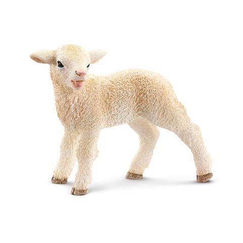 Schleich, figurka Owieczka, 13744