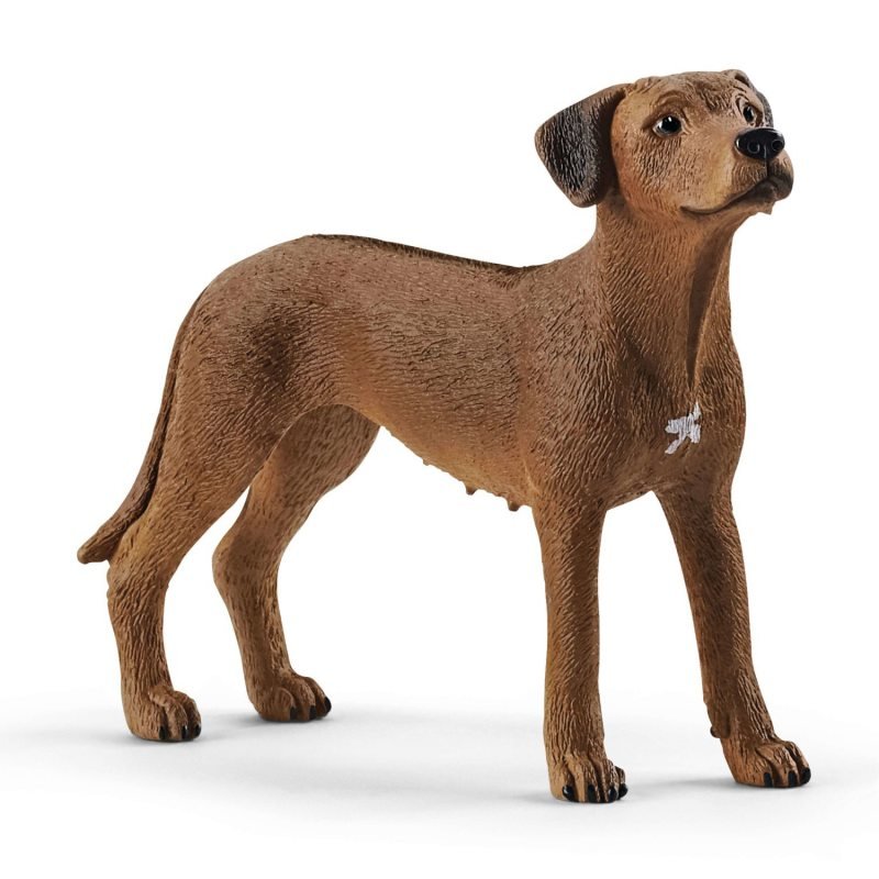 Schleich, figurka, Rhodesian Ridgeback 20', 13895