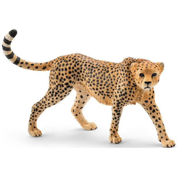 Schleich, figurka, Samica Geparda, 14746