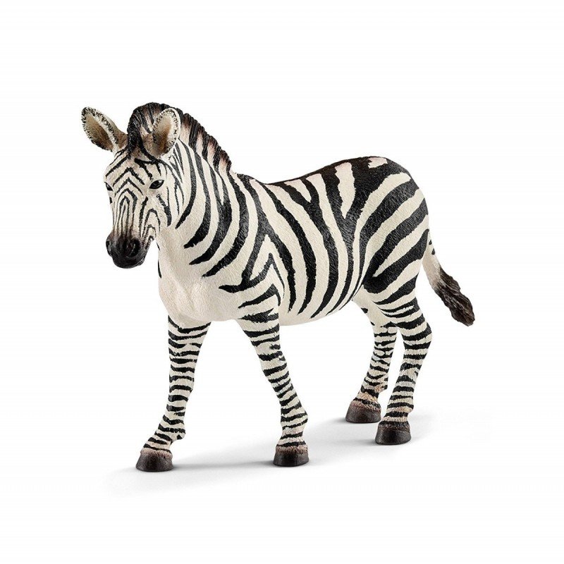 Schleich, figurka, Samica Zebry, 14810