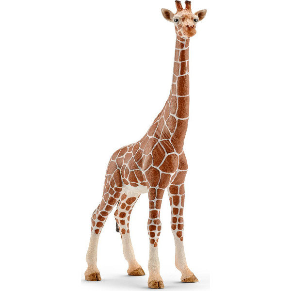Schleich, figurka, Samica Żyrafy, 14750