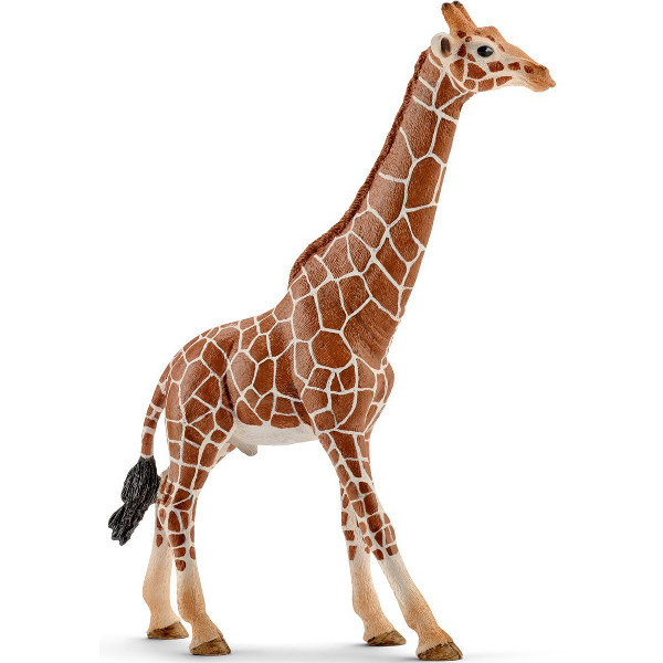 Schleich, figurka, Samiec Żyrafy, 14749