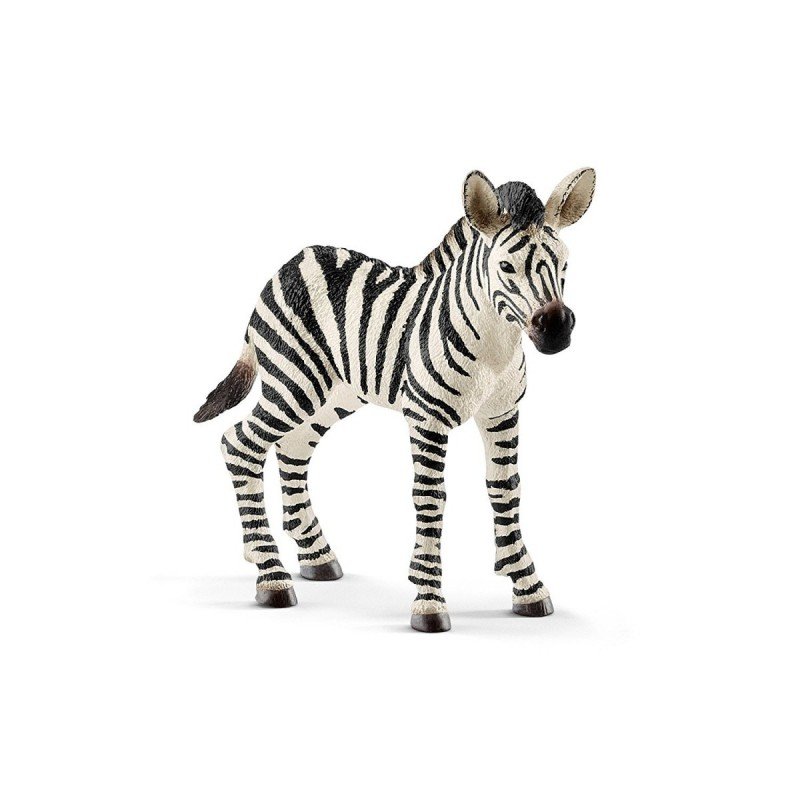 Schleich, figurka, Zebra, Źrebię, 14811