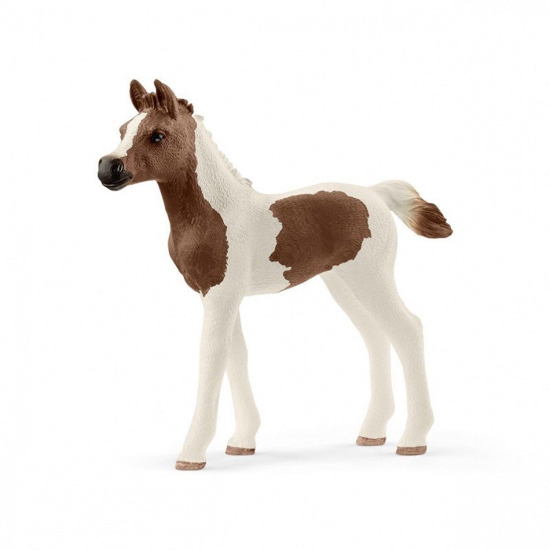 Schleich, figurka Źrebię rasy Pintabian