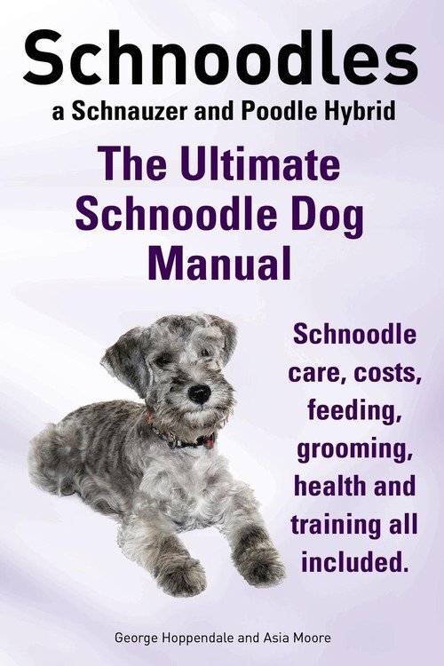 Knoodle Instructions.pdf Schnoodles. the Ultimate Schnoodle Dog Manual. Schnoodle Care, Costs ...