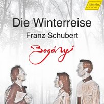 Schubert: Die Winterreise - Instrumental Boganyi Gergely, Boganyi Bence, Dent-Boganyi Clara