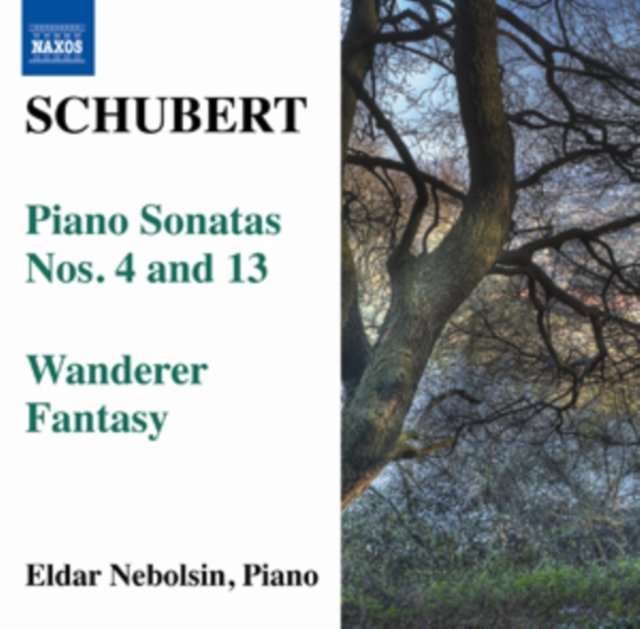 Schubert: Piano Sonatas - Various Artists | Muzyka Sklep EMPIK.COM