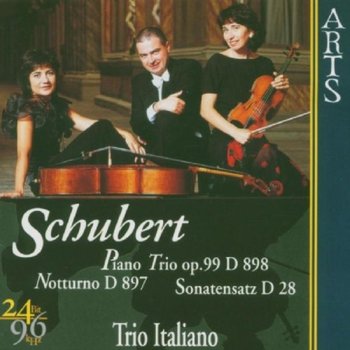 Schubert: Piano Trio Op. 99 D 898 / Notturno D 897 / Sonatensatz D 28 - Various Artists