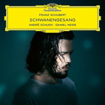 Schubert: Schwanengesang, D. 957: No. 12, Am Meer - Andrè Schuen, Daniel Heide