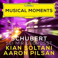 Schubert: Sei mir gegrüßt, D. 741 Aaron Pilsan, Kian Soltani