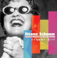 Schuur Fire Schuur Diane