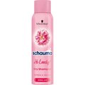 Schwarzkopf, Schauma My Darling, suchy szampon do włosów normalnych, 150 ml - Schwarzkopf